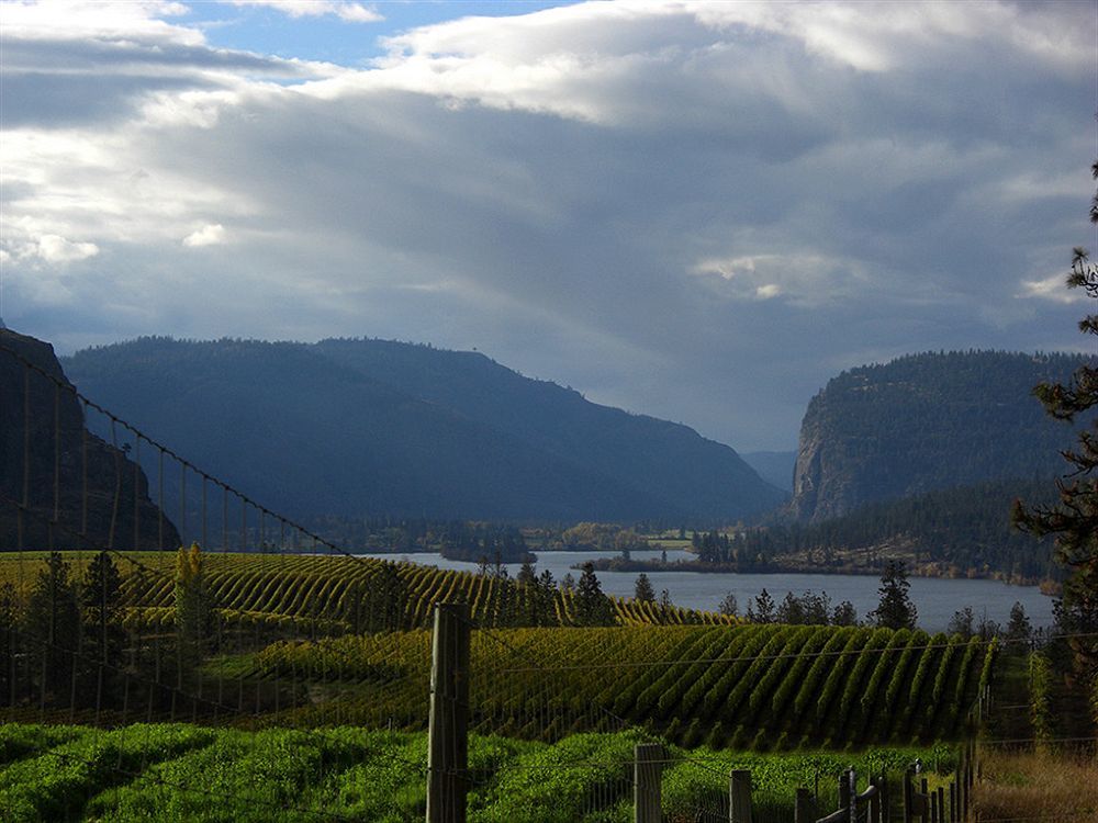 Bighorn Ridge Guest House Okanagan Falls Exterior photo
